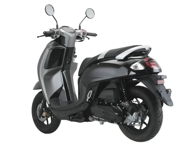 Scoopy Club 125CC for Rent